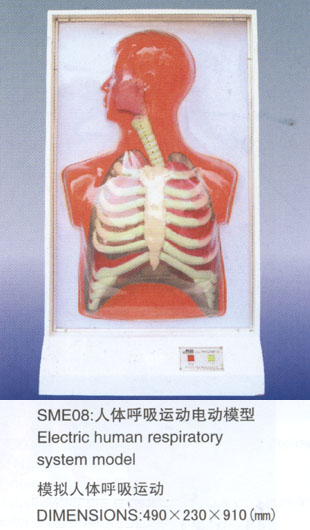 sme08 jpg